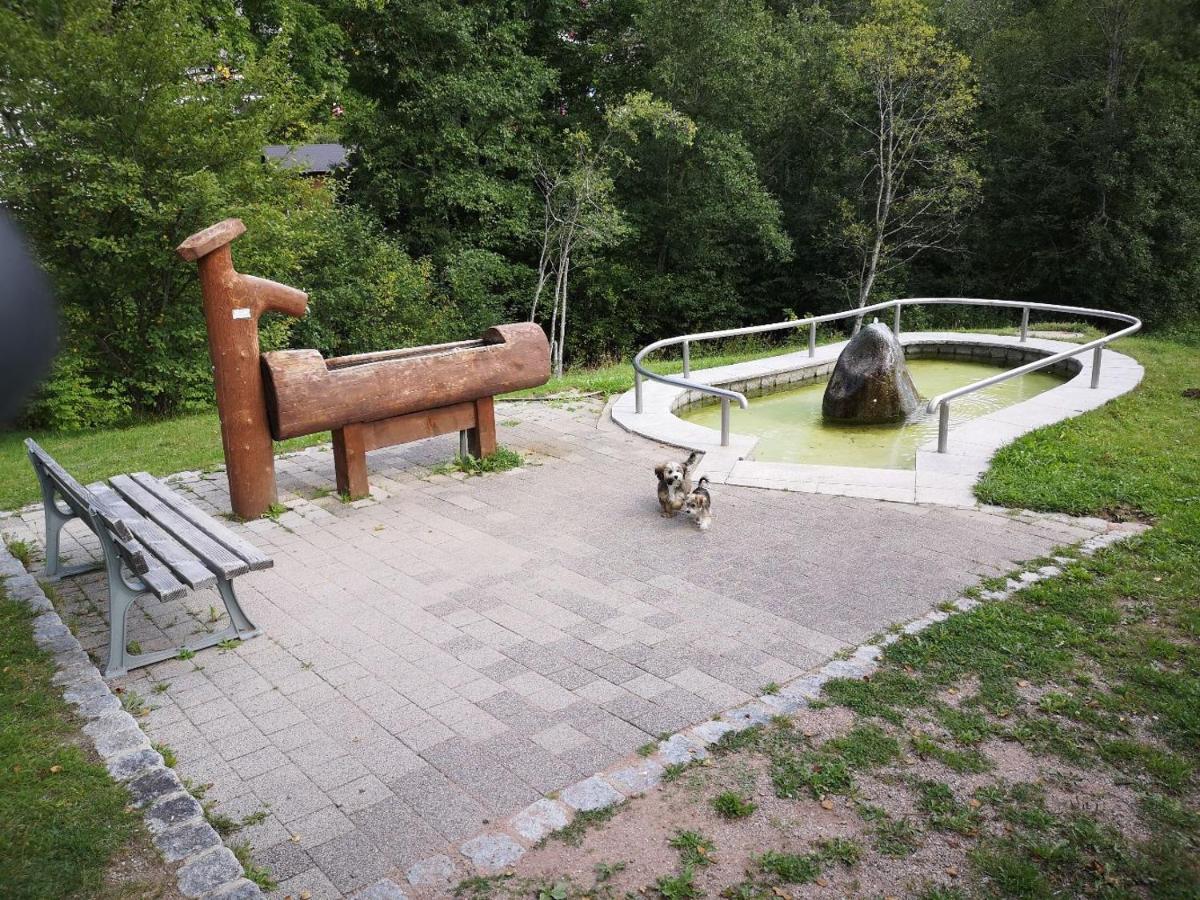 C1 Albmatte-Fewo Sauna, Hallenbad Aussenbecken Massagen Nebenan Menzenschwand-Hinterdorf Extérieur photo
