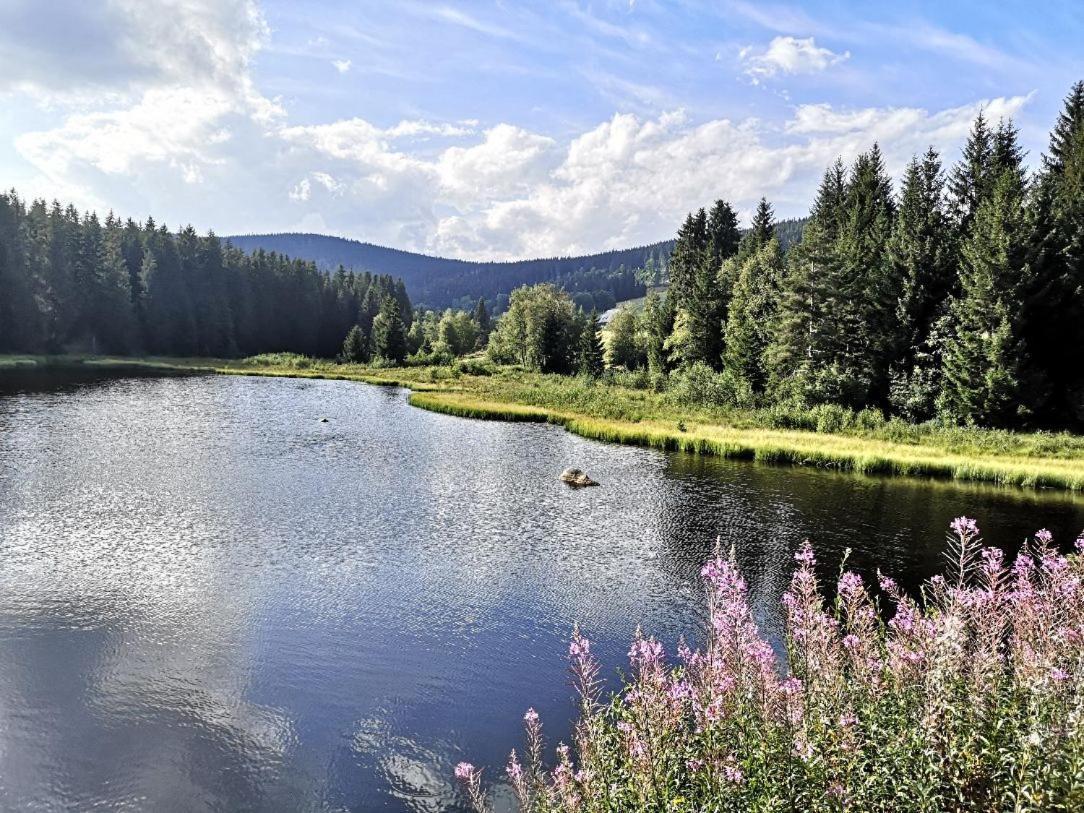 C1 Albmatte-Fewo Sauna, Hallenbad Aussenbecken Massagen Nebenan Menzenschwand-Hinterdorf Extérieur photo