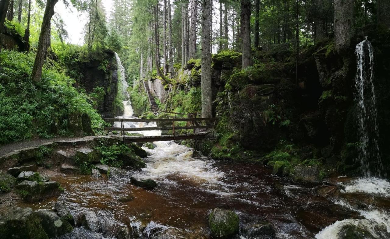 C1 Albmatte-Fewo Sauna, Hallenbad Aussenbecken Massagen Nebenan Menzenschwand-Hinterdorf Extérieur photo