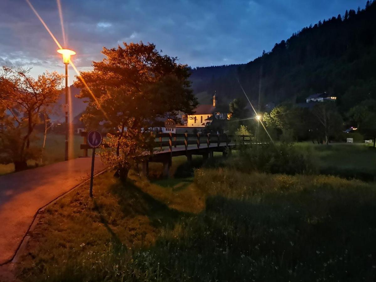 C1 Albmatte-Fewo Sauna, Hallenbad Aussenbecken Massagen Nebenan Menzenschwand-Hinterdorf Extérieur photo