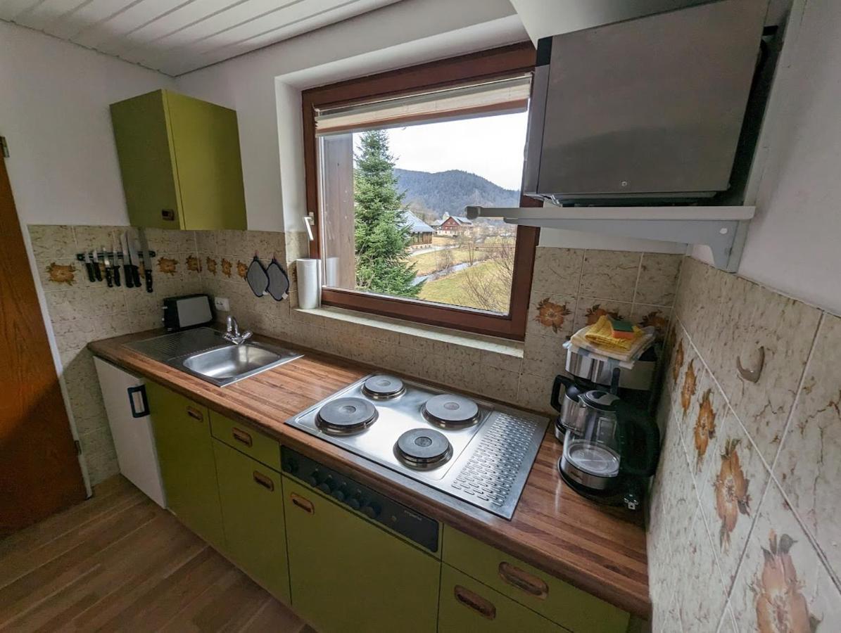 C1 Albmatte-Fewo Sauna, Hallenbad Aussenbecken Massagen Nebenan Menzenschwand-Hinterdorf Extérieur photo