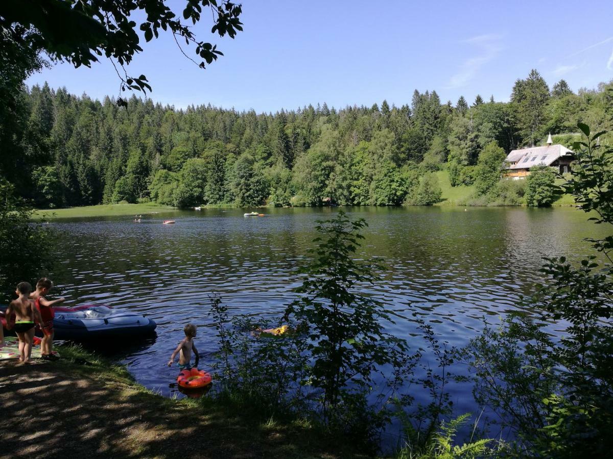 C1 Albmatte-Fewo Sauna, Hallenbad Aussenbecken Massagen Nebenan Menzenschwand-Hinterdorf Extérieur photo