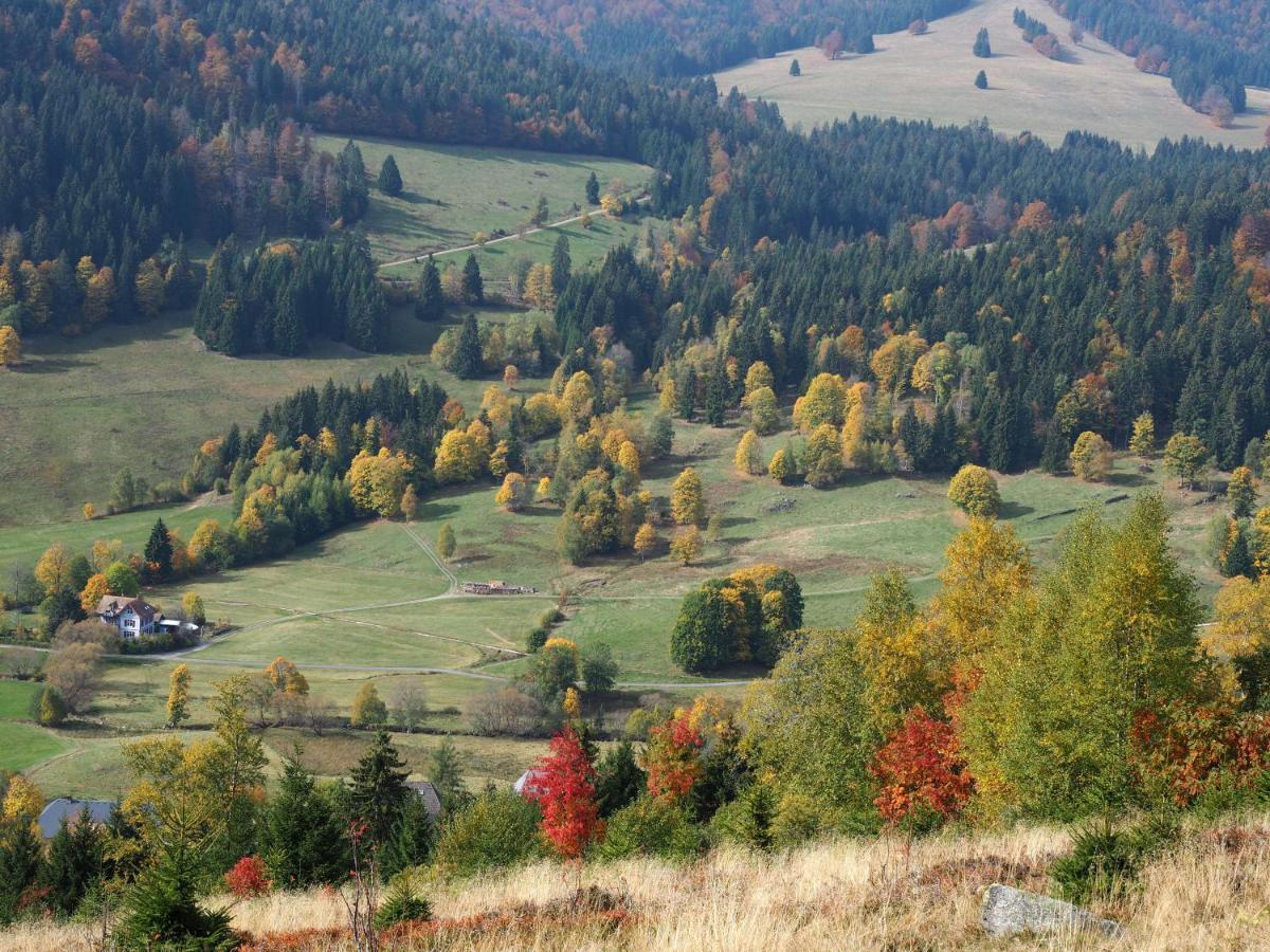 C1 Albmatte-Fewo Sauna, Hallenbad Aussenbecken Massagen Nebenan Menzenschwand-Hinterdorf Extérieur photo